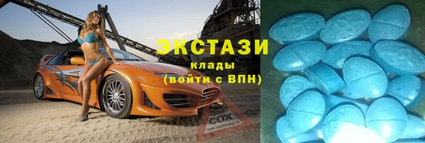 дживик Верхний Тагил