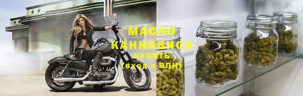 дживик Верхний Тагил