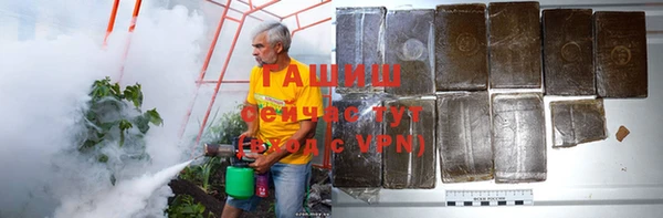 дживик Верхний Тагил