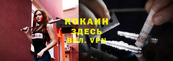 дживик Верхний Тагил