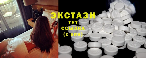дживик Верхний Тагил